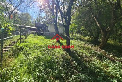 Casa modesta in Provita--19.900e - 9