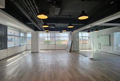 Spatiu Birou Cismigiu- Domus I - 6