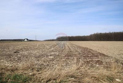 Teren 9,740mp Suceava / Strada Principala - 9