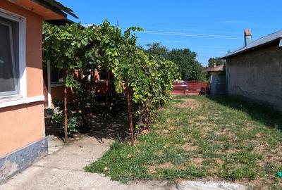 Casă de vânzare în Slobozia, Giurgiu | 1.143 mp teren  5 camere  Curte generoasa - 14