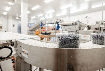 Teren agricol extravilan de 27720 mp, în Vest