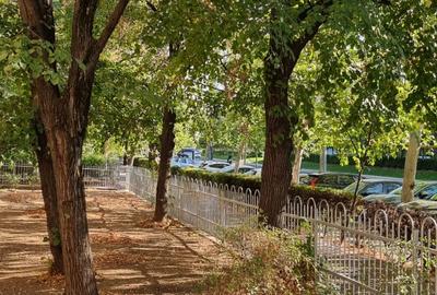 Policlinica Titan- metrou - 10