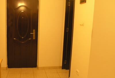 Drumul Taberei, decomandata, parter, bloc din 1982-reabilitat, mobilata/utilata - 5