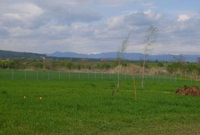 MAGNOLIA VILLAGE! Casă nouă cu vedere la munte, prima inchiriere! Negociabil - 15