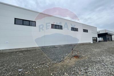Hală 600 mp, ideală pentru logistică și distribuție zona Aeroportului - 3