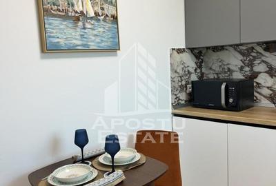 Apartament cu o camera de inchiriat, Timisoara zona Fabric - 7