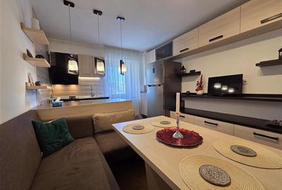 Apartament spatios cu 2 camere Parcul Trandafirilor Racadau - 12