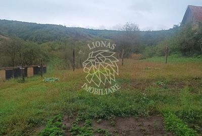 2 Case 100 mp -teren 3576mp-livada-garaj-Enciu 37 km de Bistrita - 7