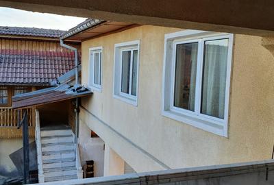 Casă / Pensiune de vânzare – Balta, Gorj - 19