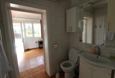 Ciolpani casa singur curte cu vegetatie superba. 37 minute de Bucuresti - 6