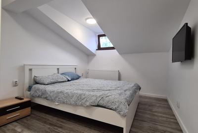 Apartament 4 camere Calea Calarasi / Hala Traian in vila - 17