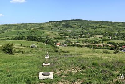 Teren intravilan Borhanci - 4