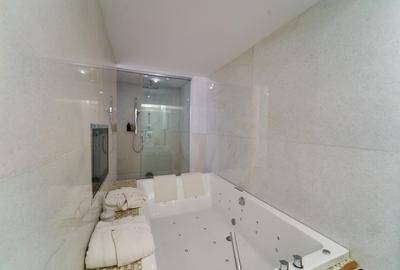 Penthouse for rent- 4 bedrooms- Fabrica de Glucoza - 18