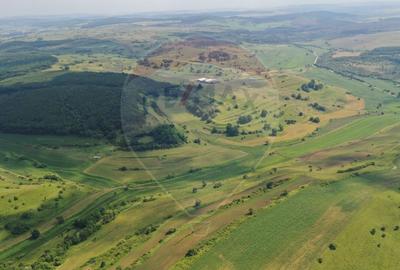 INVESTITIE REZILIENTA 300 HA Teren de vanzare in Zlagna Sibiu - 1