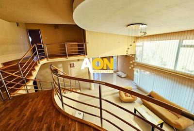 Casa 8 camere, S+P+1, teren 1377 mp, zona Schit - 12