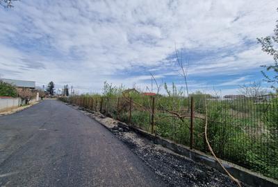 2 Loturi Teren Intravilan 1500 MP Tartasesti Deschidere 30 M / 36 M Utilitati - 3