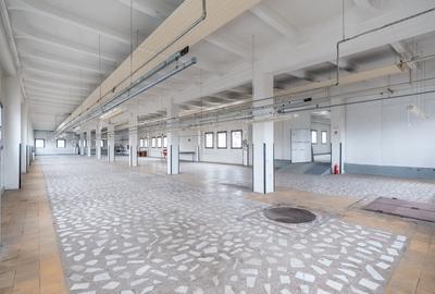 Spatiu industrial/comercial P+1, 3400 mp utili, teren 4000 mp, Marasti - 8