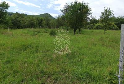 Teren 1000mp+cota drum-ideal cabana/investitie-panorama-Valea Rusului - 5