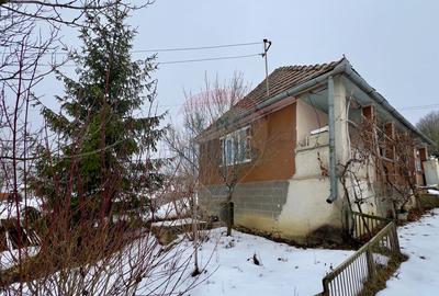 Casa cu 2 camere si teren 4887mp de vanzare in Dabaca - 7