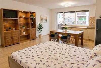 Garsoniera tip studio, cu balcon si loc de parcare, Sanpetru, Brasov - 1