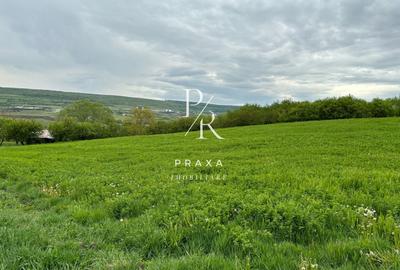 Teren extravilan, 2165 mp, priveliste, zona Dealul Fanatelor! - 3