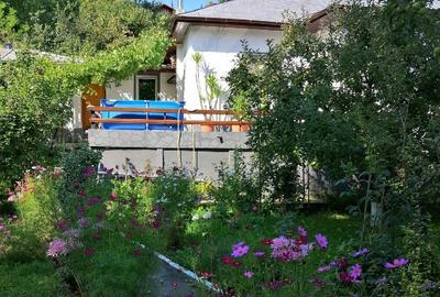 Doriți aer curat liniște vă ofer o casă frumoasă - 3