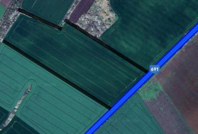 Teren extravilan 106400 mp la Asfalt in Pischia - 1