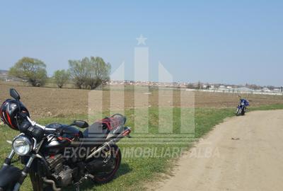 Teren intravilan | De vanzare | 10000 mp | 50 ml deschidere | Partos - 3
