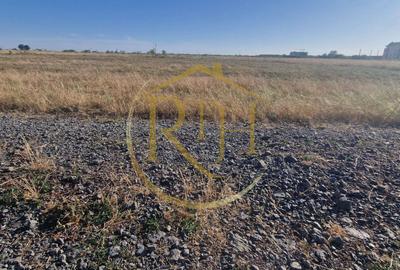 Teren Construcții intravilan de 7530 mp, în Plopi
