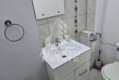 Apartament cu 3 camere, de vanzare, zona Lipovei, Timisoara - 8