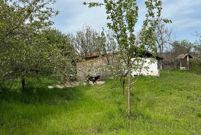 Teren Construcții intravilan de 2250 mp, în Borănești