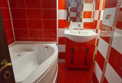 Apartament cu 2 camere Trocadero  450 euro - 17