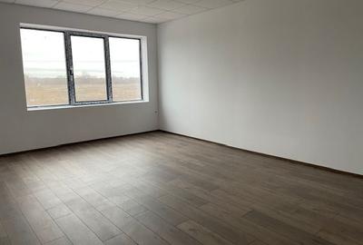 Hale de vanzare 600 mp ,Soseaua de centrua Chitila - 9