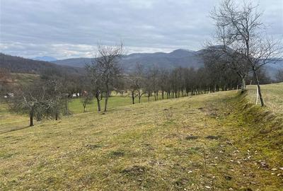 Teren intravilan si extravilan Luncoiu de Jos - 5