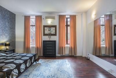 Business cu identitate: Apartament Unirii , demisol, parter si curte accesibila - 17