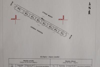 Loturi Teren Dobreni-Vidra-Berceni | Intravilan | - 4