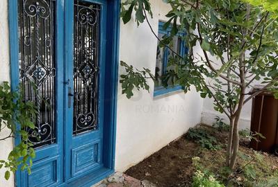 REV0000107 Vila cocheta - Domenii - 16