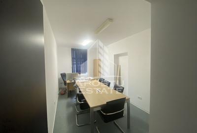 Casa în Dumbrăvița cu teren de 3039 mp și Front Stradal de 40 ml - 10