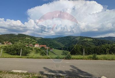 Teren 130000 mp extravilan, faneata si padure, Munteni - Bulz, Negreni - 8