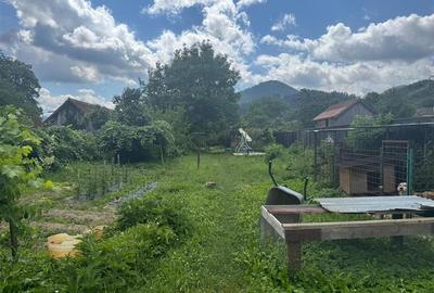 Casă individuală cu 5 camere în Turcheș