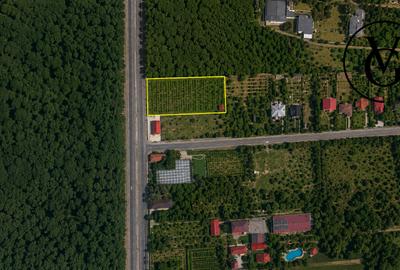 Teren agricol intravilan de 3176 mp, în Balotești