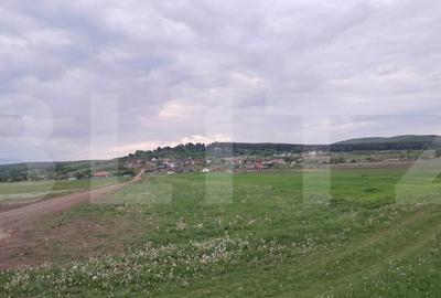 Terenuri intravilane, 590 mp, zona Est - 4