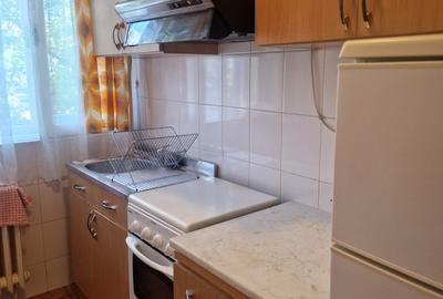 Apartament cochet -vecin parcul Botanic, între Piața UNIRII și IULIUS MALL - 20