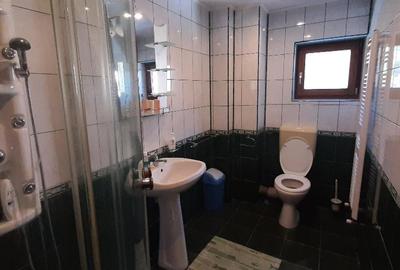 Casa de vacanta sau pensiune situata langa Cabana Trei Brazi Predeal - 16