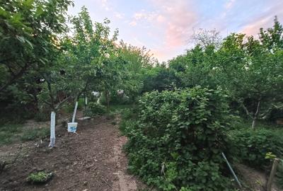 Apartament Elisabetin - 19
