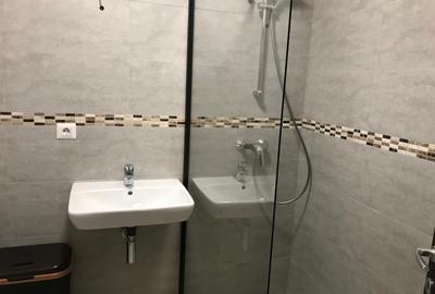 ROANDY-Apartament 2 camere complet mobilat su utilat-Albert Mrs - 8