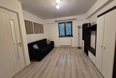 Spațiu potrivit pentru activități profesionale | Valea Adâncă – Nicolina | 270 € - 2