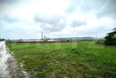 Teren Construcții intravilan de 102000 mp, în Burdujeni