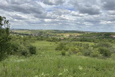 TEREN INTRAVILAN  |  1.824 MP  |  DEALURI  |  ORADEA - 3