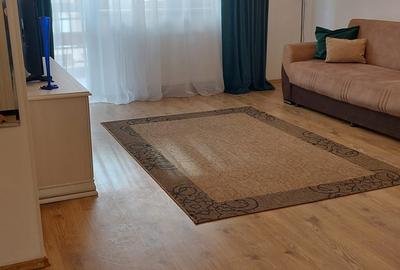 Doua camere cu centrala si parcare Confort Park Rin Grand - 13